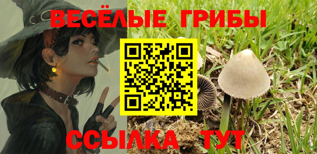 Галлюциногенные грибы MAGIC MUSHROOMS Урус-Мартан